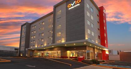 Avid Hotel Fresnillo