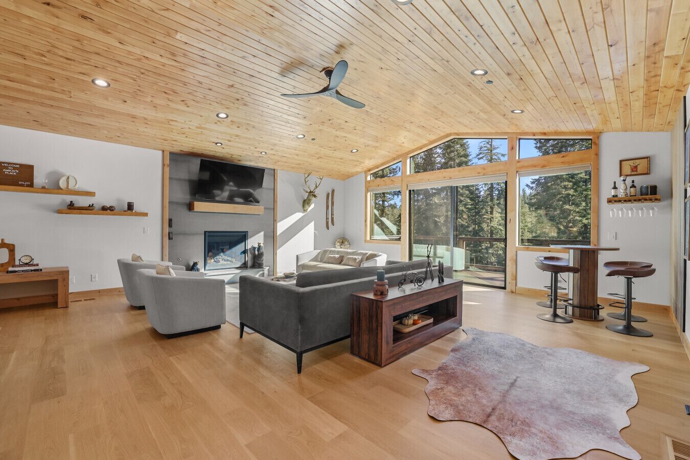 Smart TV, fireplace, video games, stereo