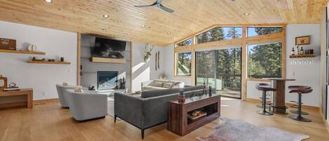 Smart TV, fireplace, video games, stereo