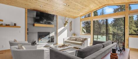 Smart TV, fireplace, video games, stereo