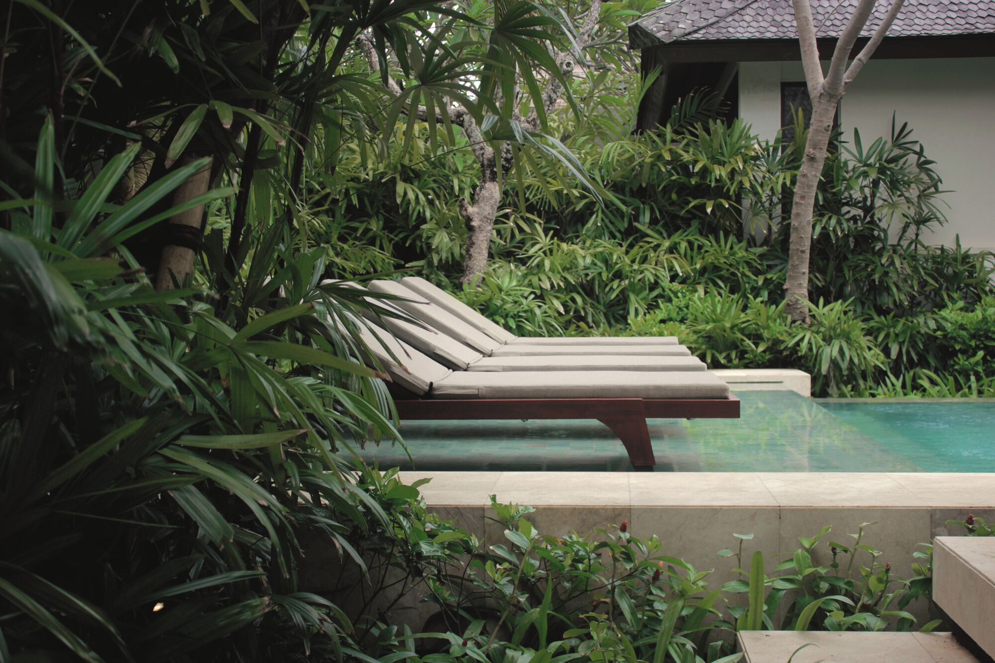 A poolside area with a lounge chair, surrounded by lush greenery and a clear pool.