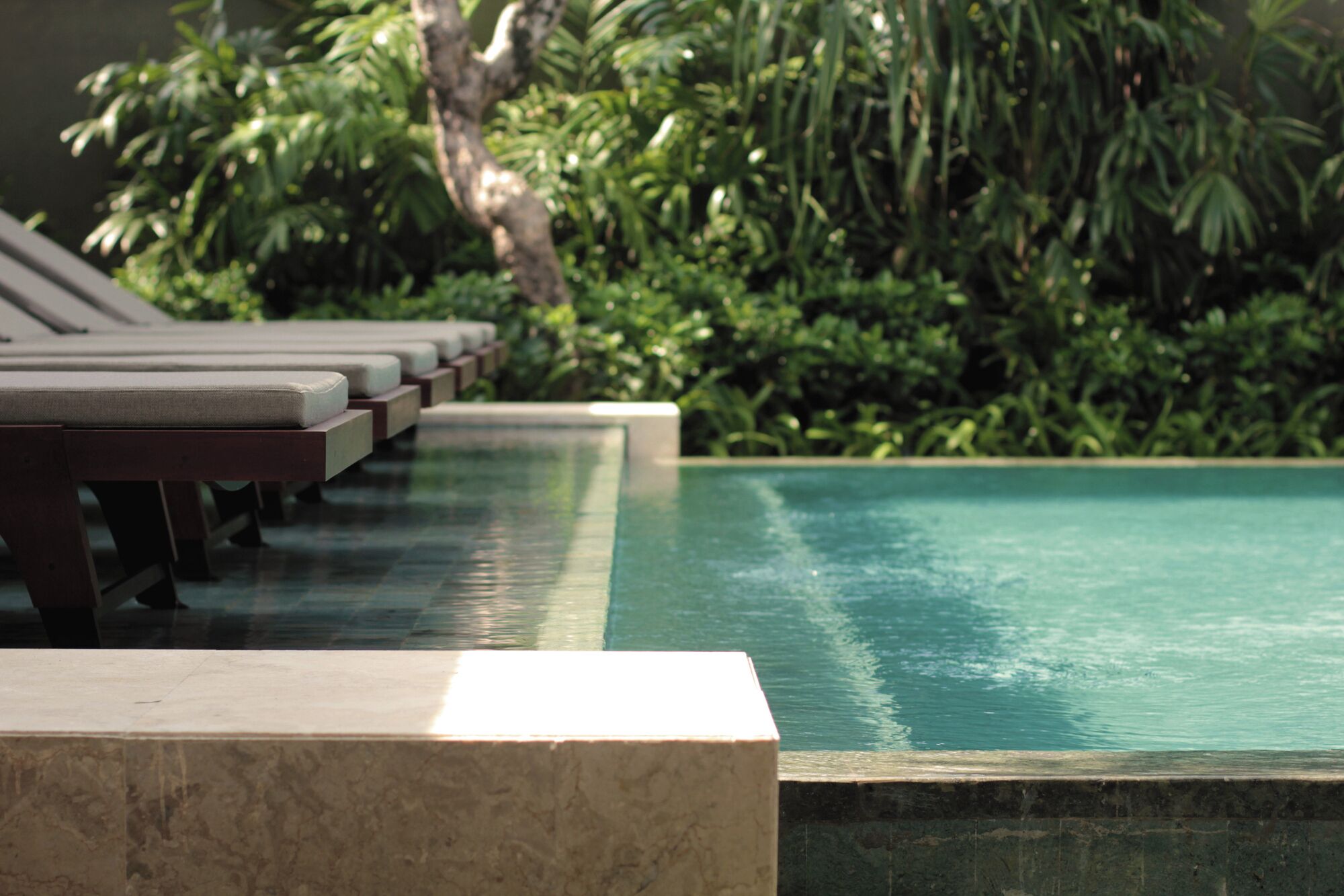A row of lounge chairs by a pool with a tiled edge and lush greenery in the background.