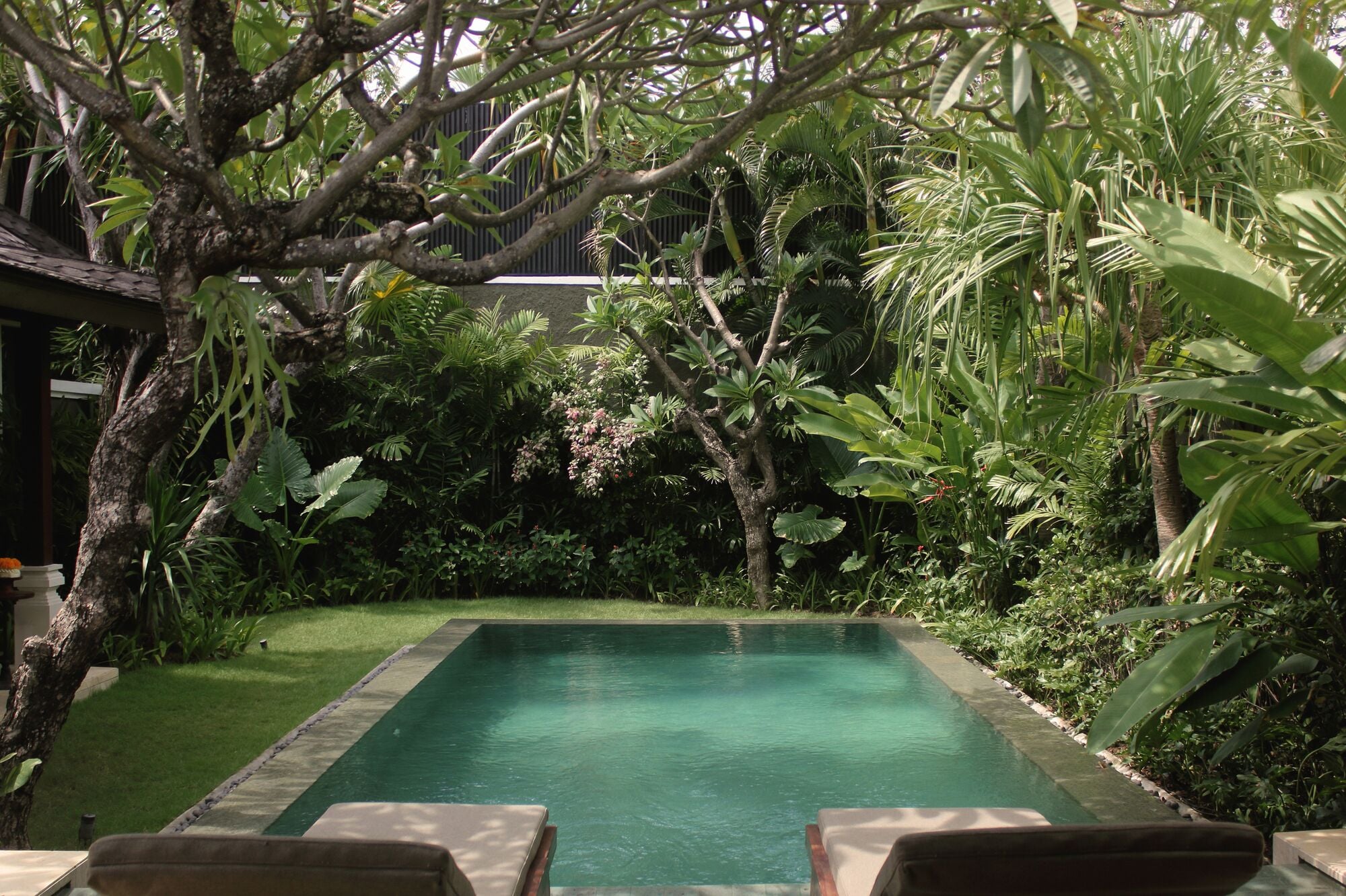 A rectangular pool with a surrounding lush garden and a tree in the foreground.