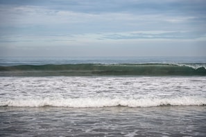 Beach - Taman Estate by Ekosistem (Seminyak)