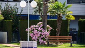 A bench, a street lamp, and a hedge with pink flowers.