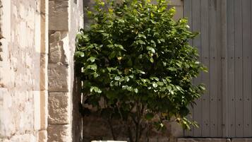 Details aan de buitenkant