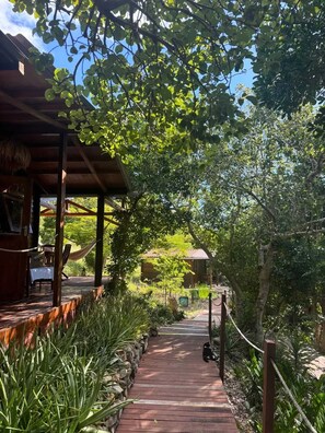 Terrace/patio - Homerez - Bungalow La Désirade (La Désirade)