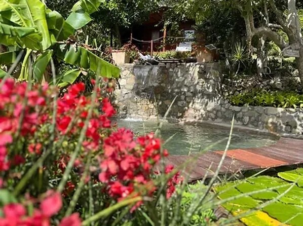 Pool - Homerez - Bungalow La Désirade (La Désirade)