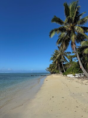 A beach with clear blue water, sandy shore, and palm trees. - Perfect Moorea Getaway for Families & Friends – Pool + Beach 200m (Moorea)