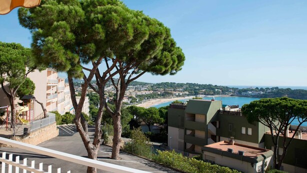 Vista sulla costa con un albero in primo piano, una spiaggia sullo sfondo e edifici residenziali.