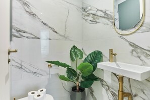 Shower, hair dryer