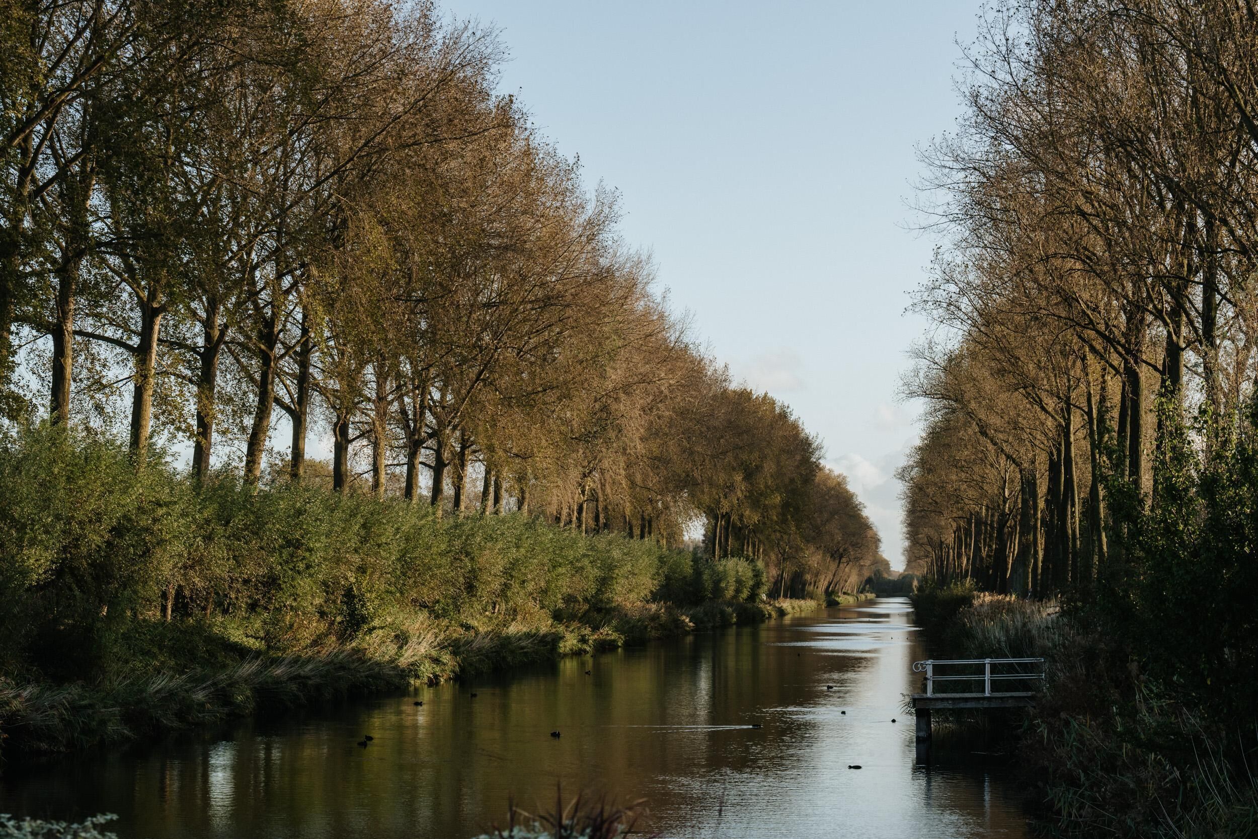 A river flanked by trees, a bridge, and a pathway.