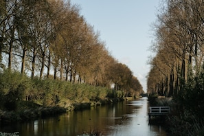 A river flanked by trees, a bridge, and a pathway.