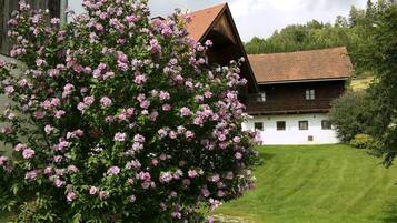 Terrein van de accommodatie