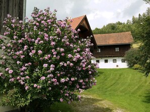 Terrein van de accommodatie
