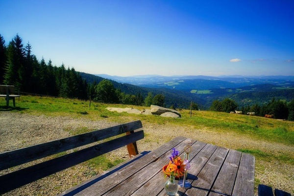 Urlaub am Glatzl Bauernhof