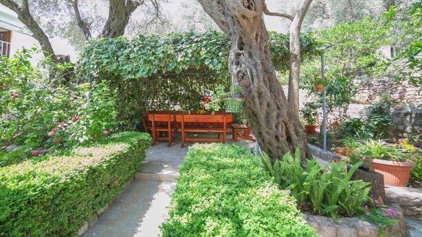 Un jardin avec un banc et une table en bois, entouré d’une végétation luxuriante et d’un grand arbre.