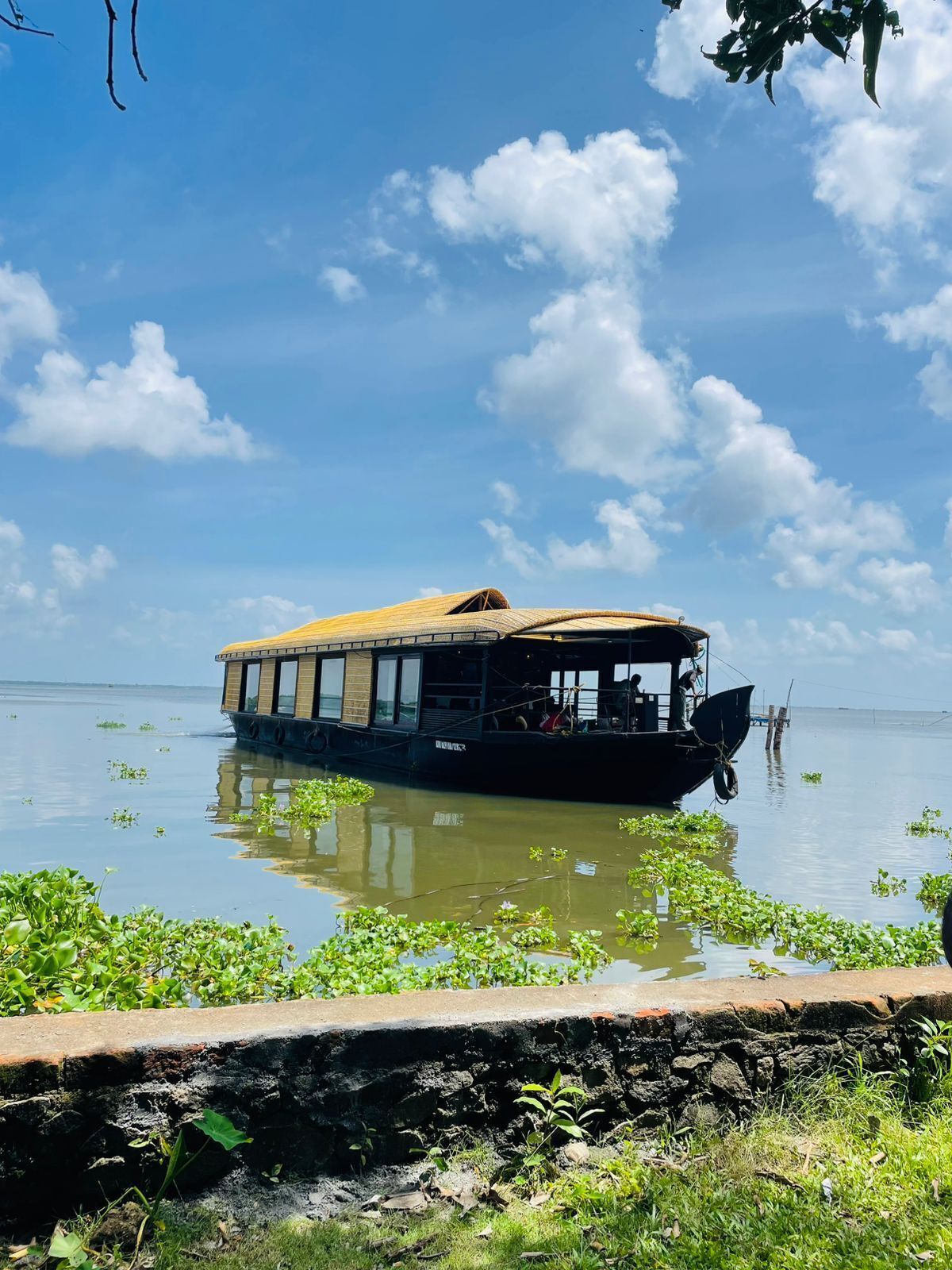 A boat with a covered deck and windows, floating on calm water with greenery around.