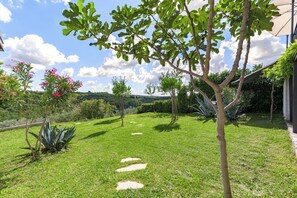 Property grounds - A fully renovated, classic istrian stone villa with swimming pool near Buje (Momjan)