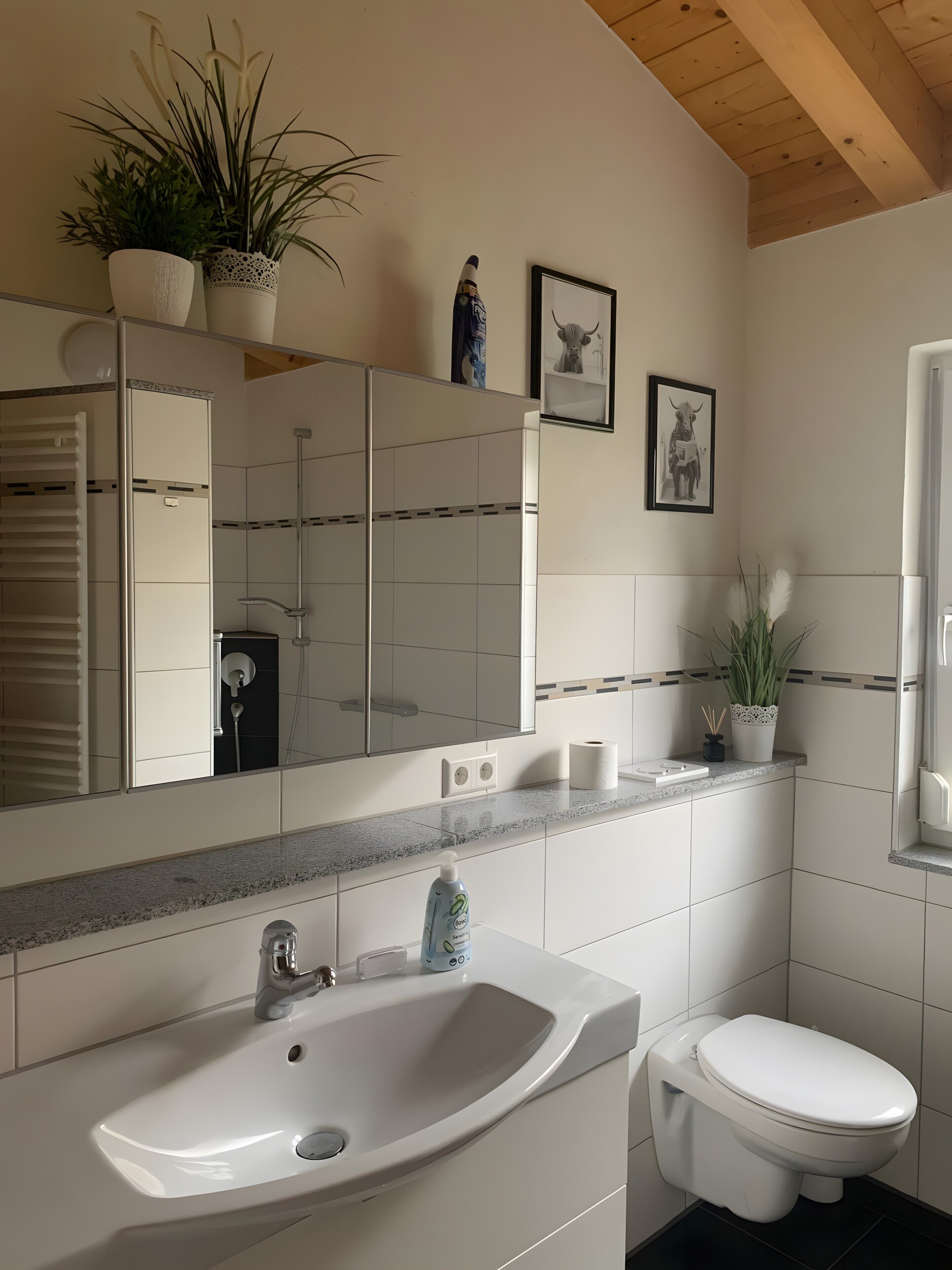 Shower, free toiletries, hair dryer, towels