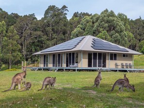 منطقة الاستقبال
