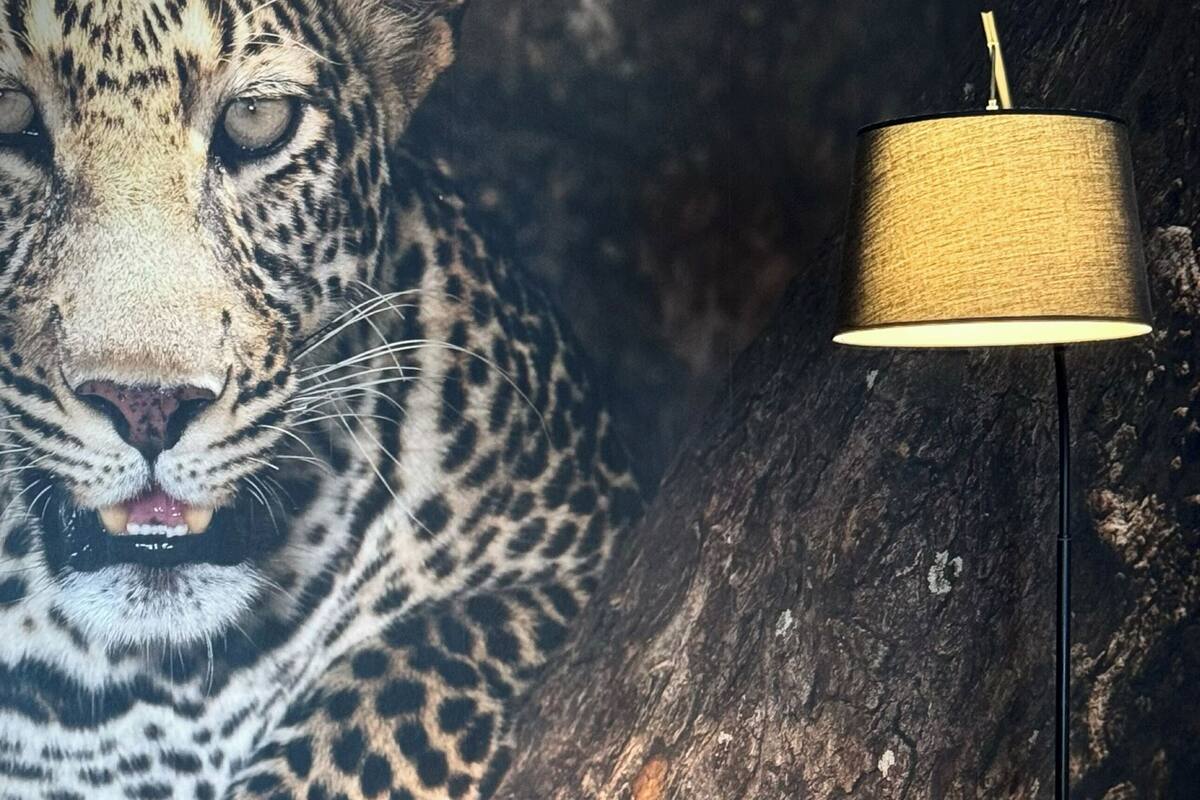 Una habitación con un gran mural de leopardo en la pared, una lámpara de pie moderna y un sofá de madera.