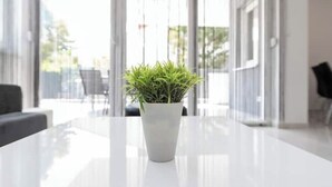 Ein modernes Wohnzimmer mit einem weißen Tisch, einer Topfpflanze und großen Fenstern.
