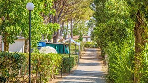 Unclassified image, 4 of 43, button - Bungalow Superior by Interhome (Capalbio)