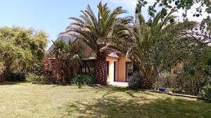Ein Haus, umgeben von üppiger Vegetation, darunter Palmen und verschiedene Sträucher.