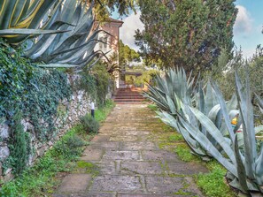 Property grounds - Villa Le Palme by Interhome (Rio Marina)