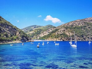 Marina - Villa Le Palme by Interhome (Rio Marina)