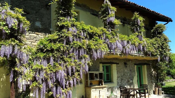 A stone house with a green door and windows, covered in purple wisteria vines. - Cozy La Lavanda Studio Apartment with private terrace and infinity pool (Merana)