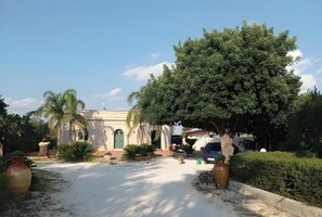 المنطقة المحيطة بالمنشأة