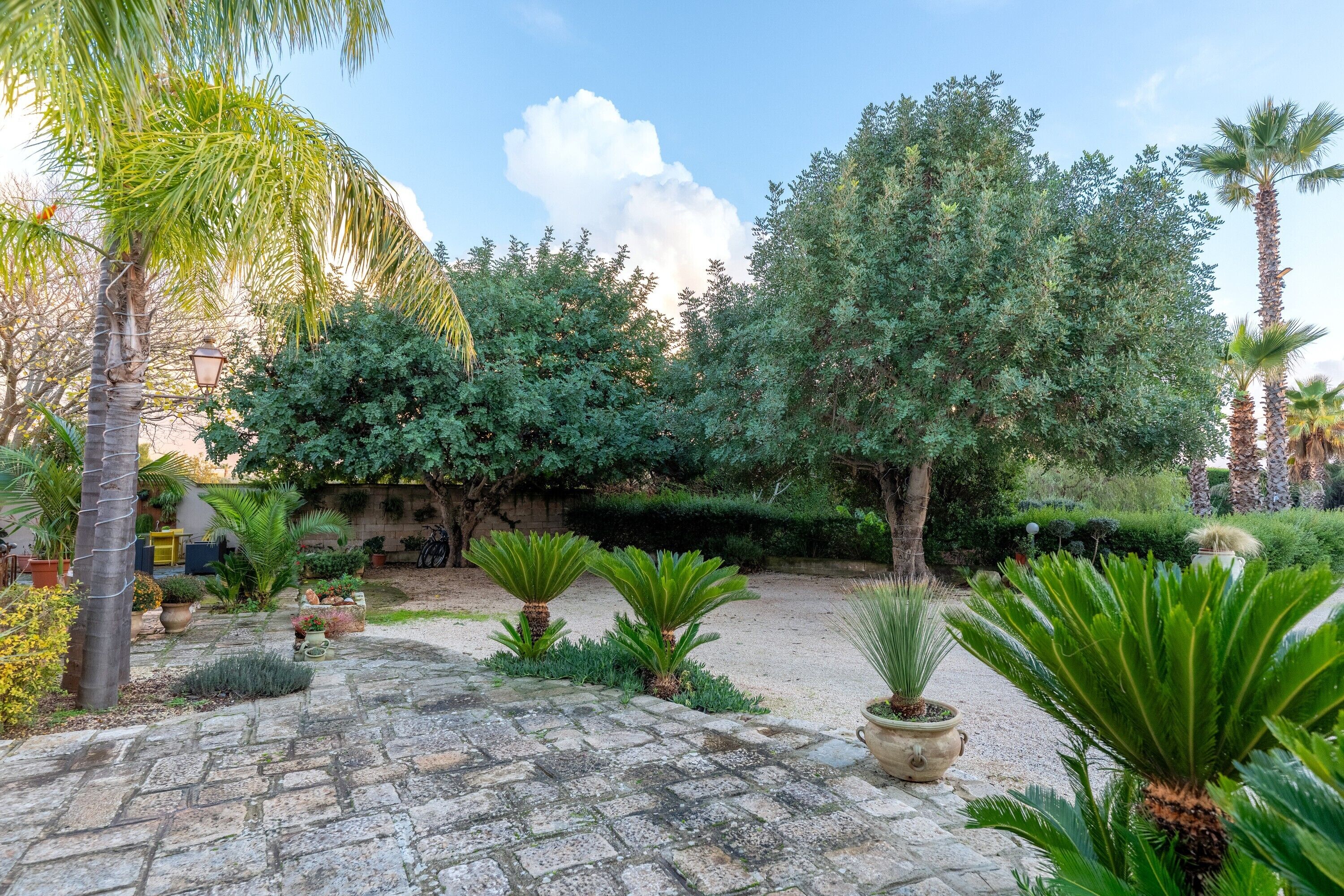 Parco della struttura