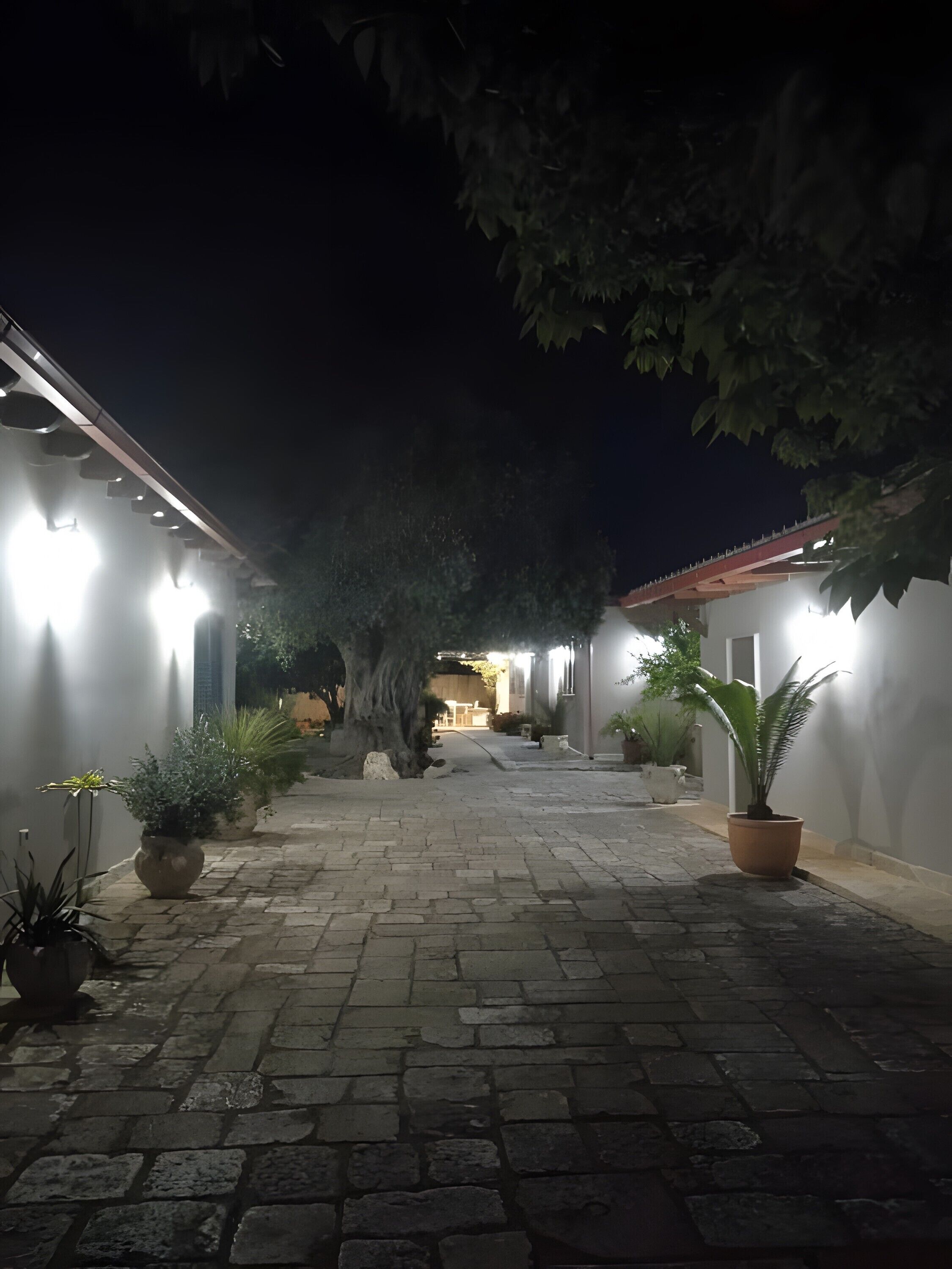 Enceinte de l’hébergement