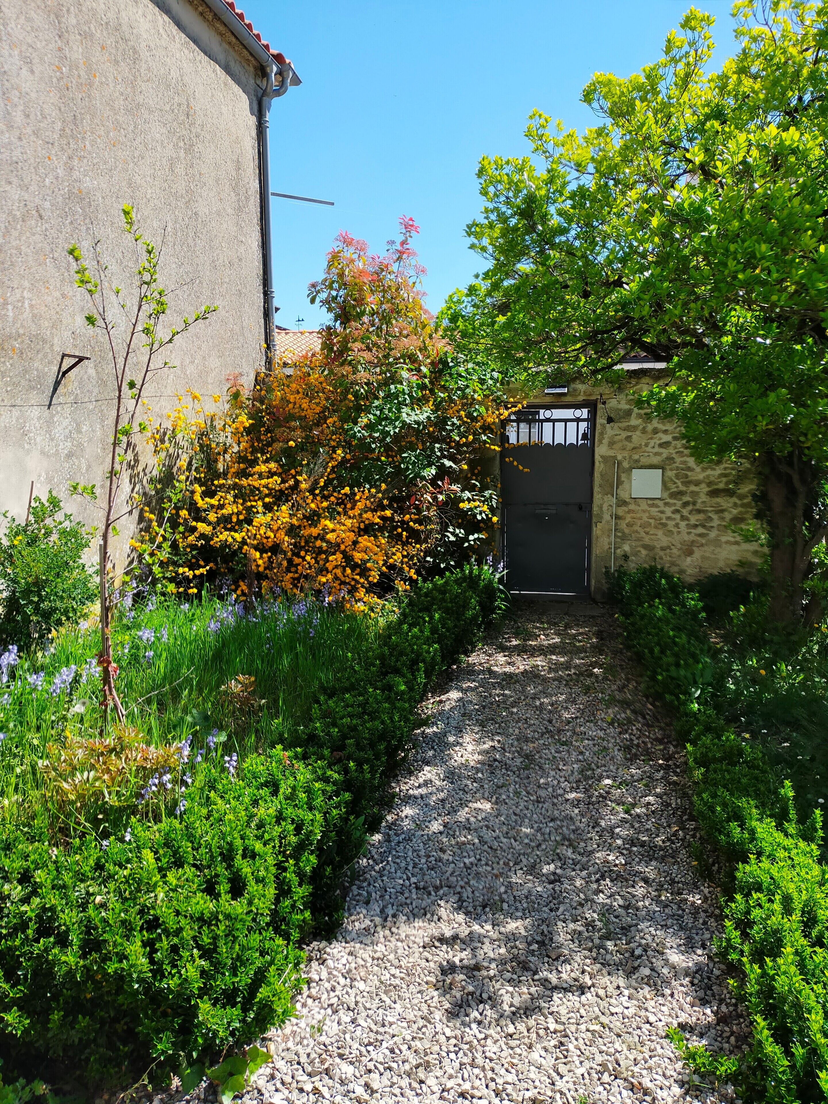Un chemin de gravier menant à une entrée fermée par un portail, entouré d’une végétation luxuriante et de plantes en fleurs.