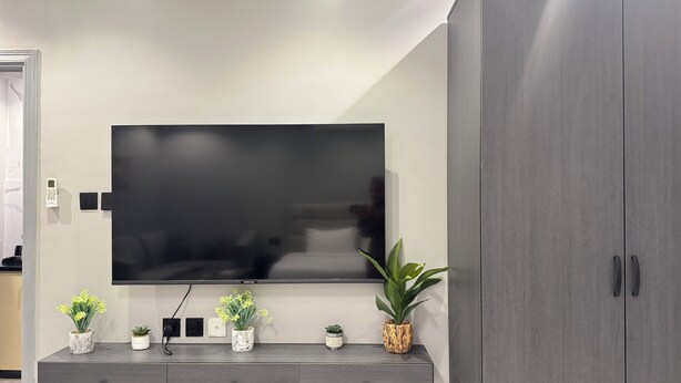 Un salon moderne avec un grand téléviseur à écran plat fixé au mur, un meuble gris doté de nombreux tiroirs et plusieurs petites plantes en pot disposées sur une console.