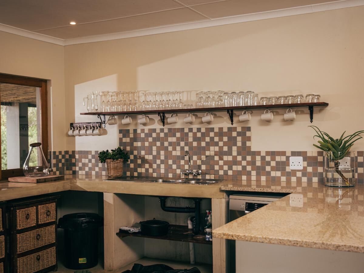 A kitchen with a tiled backsplash, a countertop with a sink, and a shelf with glassware.