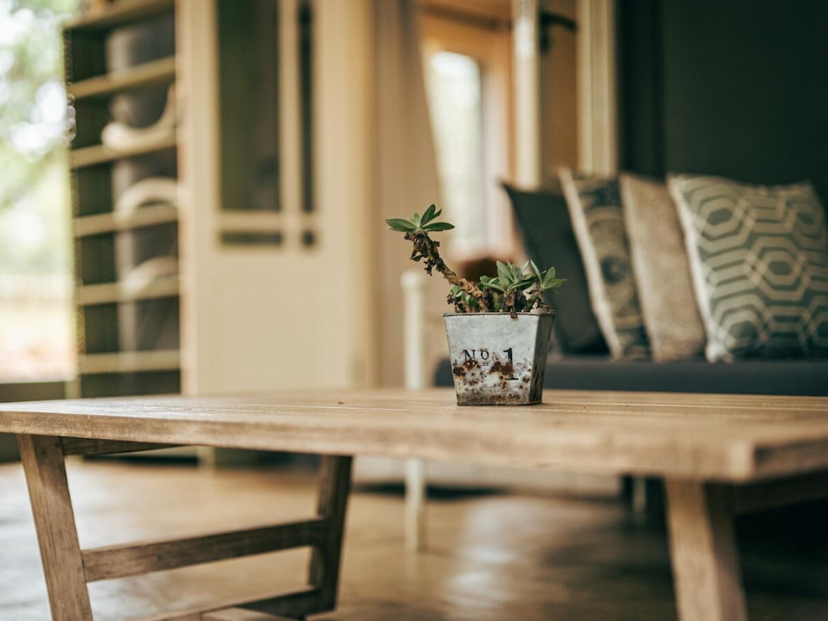 A rustic wooden table with a potted plant labeled "No. 1" in a metal pot.