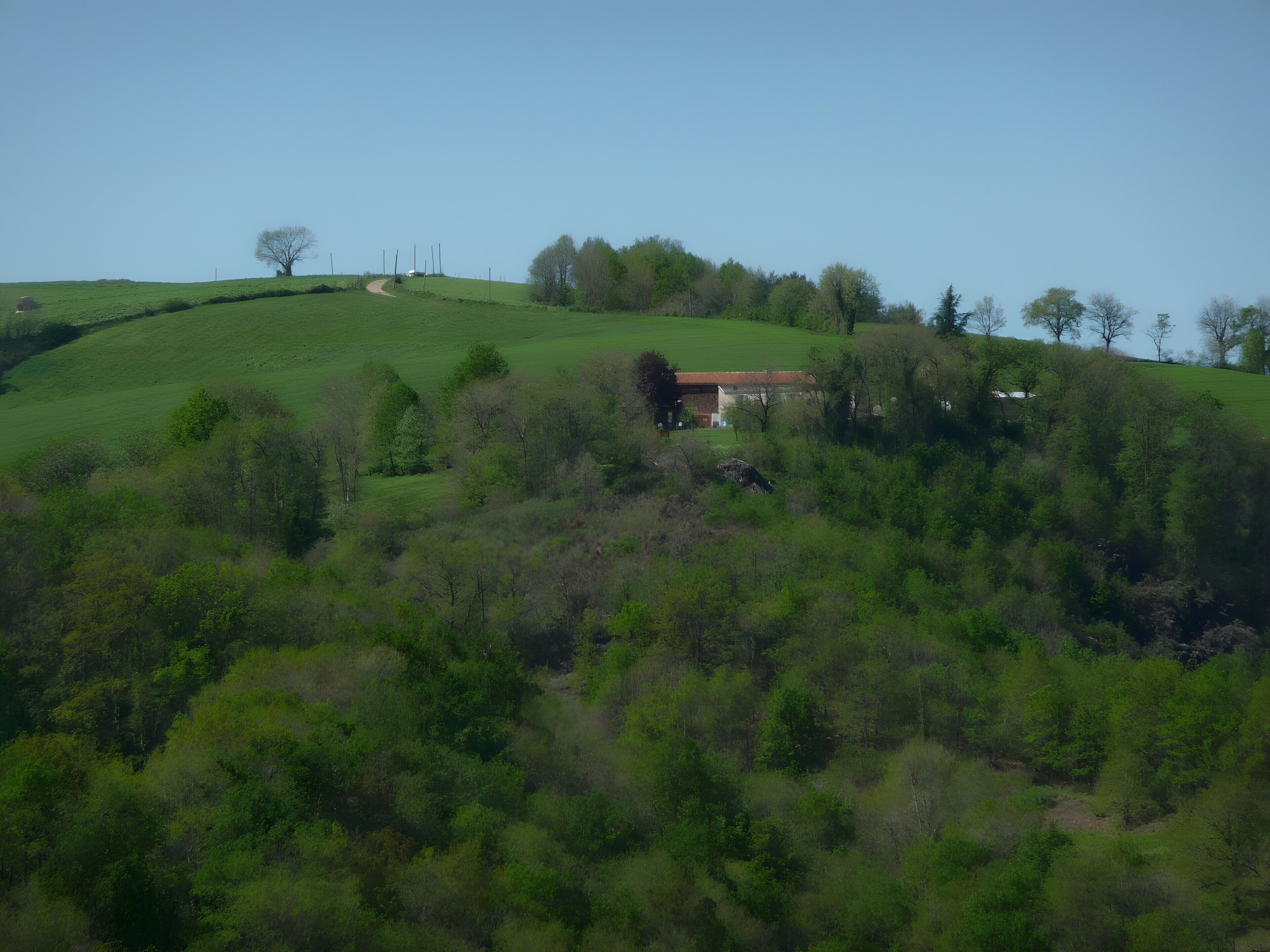 Ländliche Landschaft mit einem Haus auf einem Hügel, umgeben von viel Grün und Bäumen.