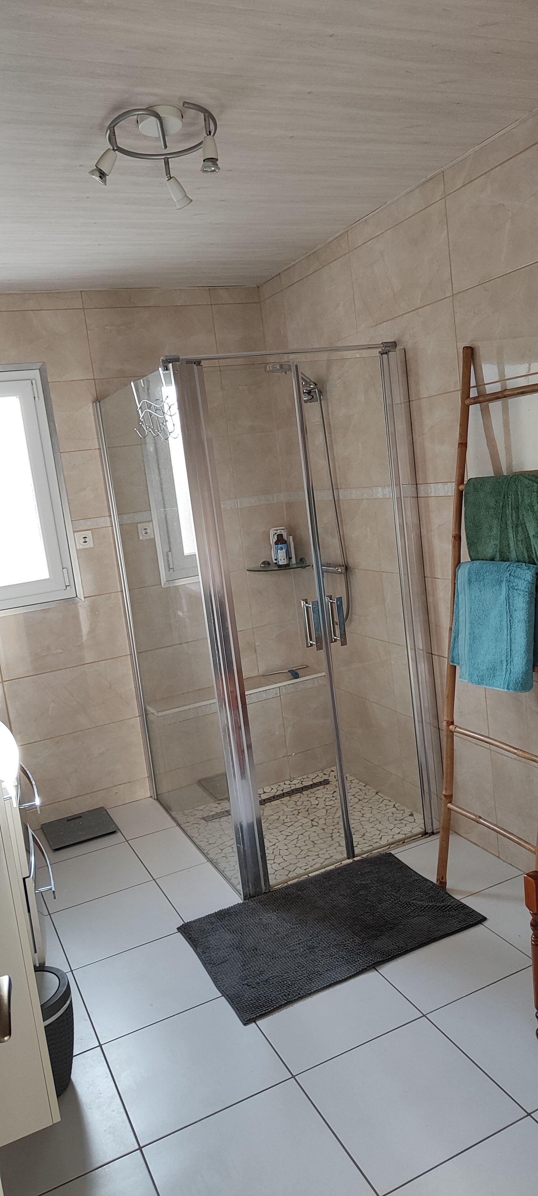 Shower, hair dryer, towels, toilet paper