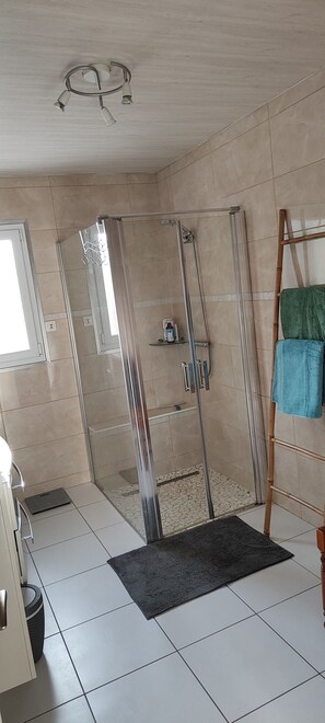 Regadera, secadora de cabello, toallas, papel de baño 