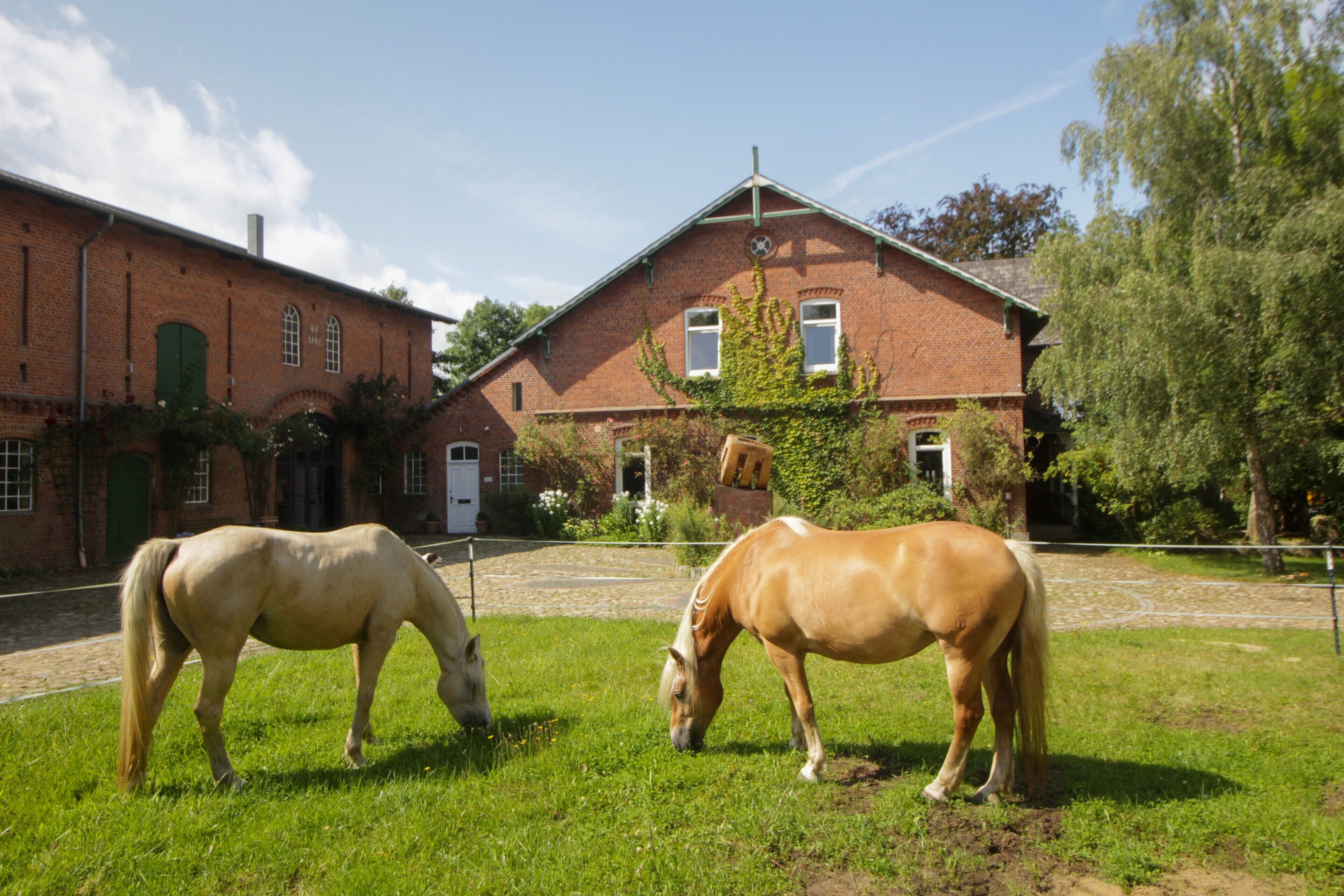 Two horses grazing in a grassy area with a brick building in the background.