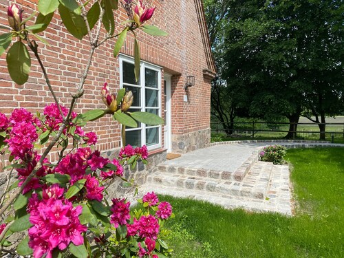 Guest House 'Charming Studio Apartment' with Shared Terrace and Wi-Fi