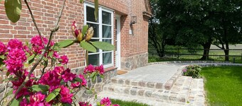 Guest House 'Charming Studio Apartment' with Shared Terrace and Wi-Fi