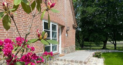 Guest House 'Charming Studio Apartment' with Shared Terrace and Wi-Fi