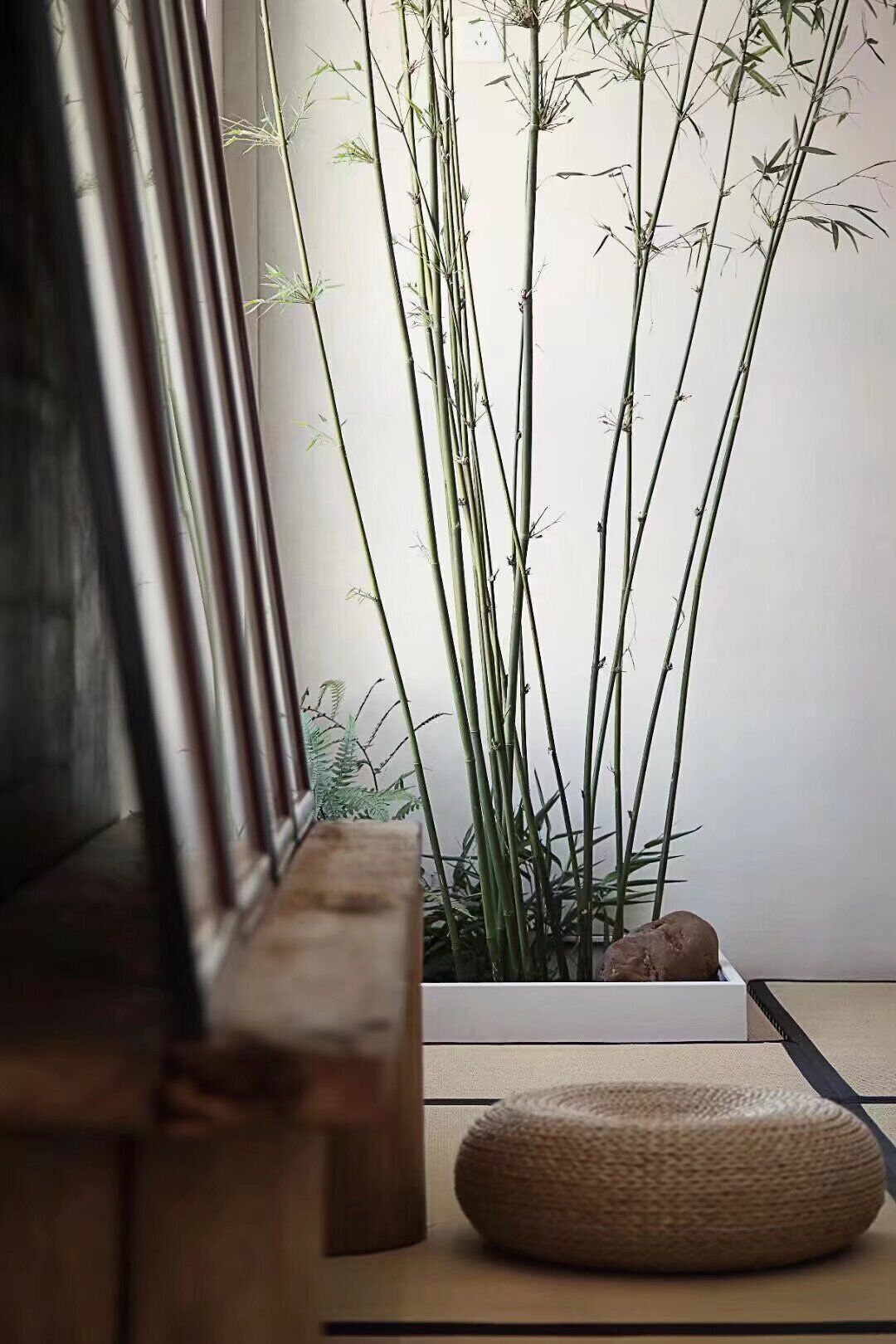 A room with a wooden bench, a woven pouf, and tall bamboo plants.