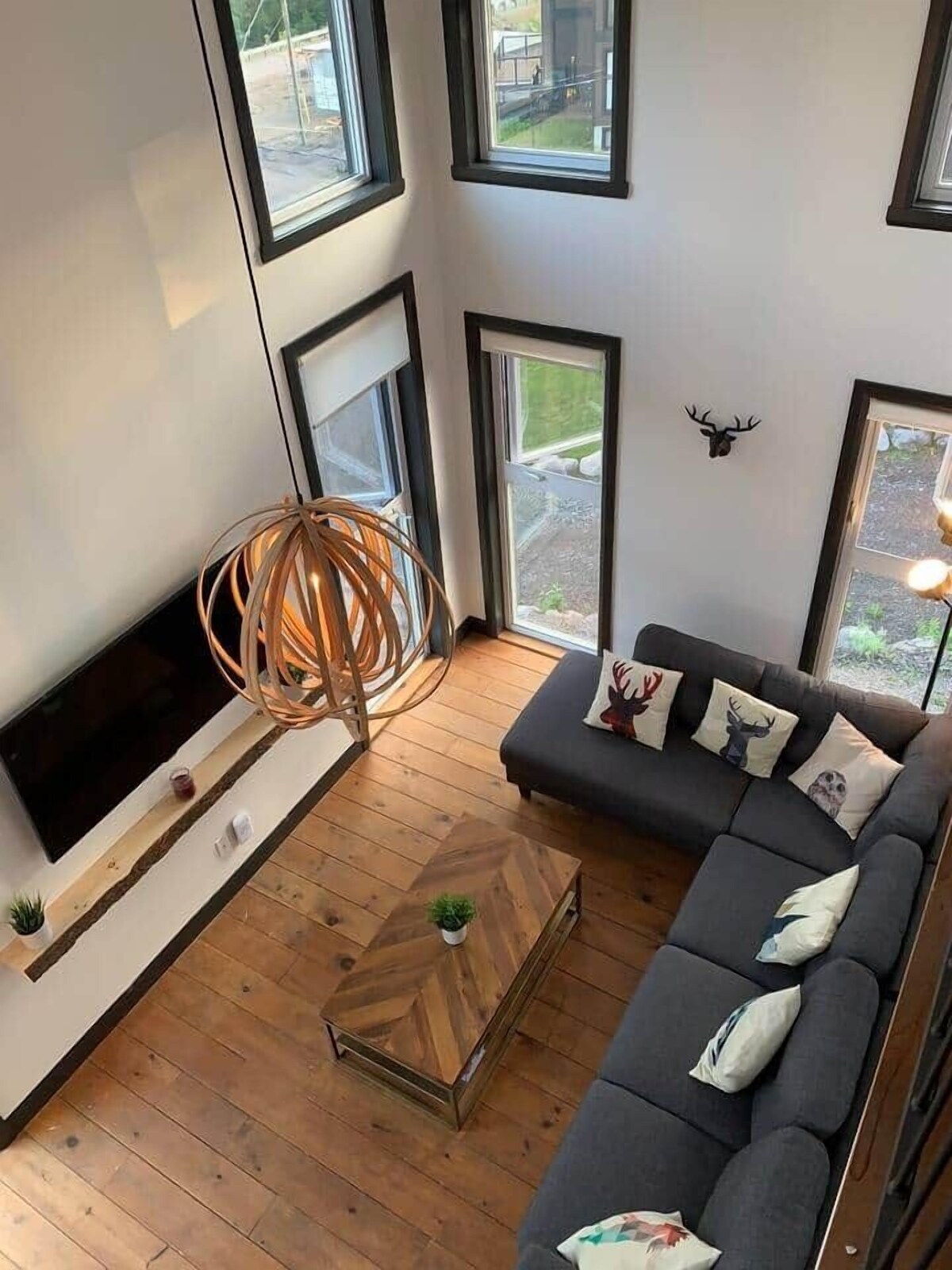 Image de profil de l’hôte