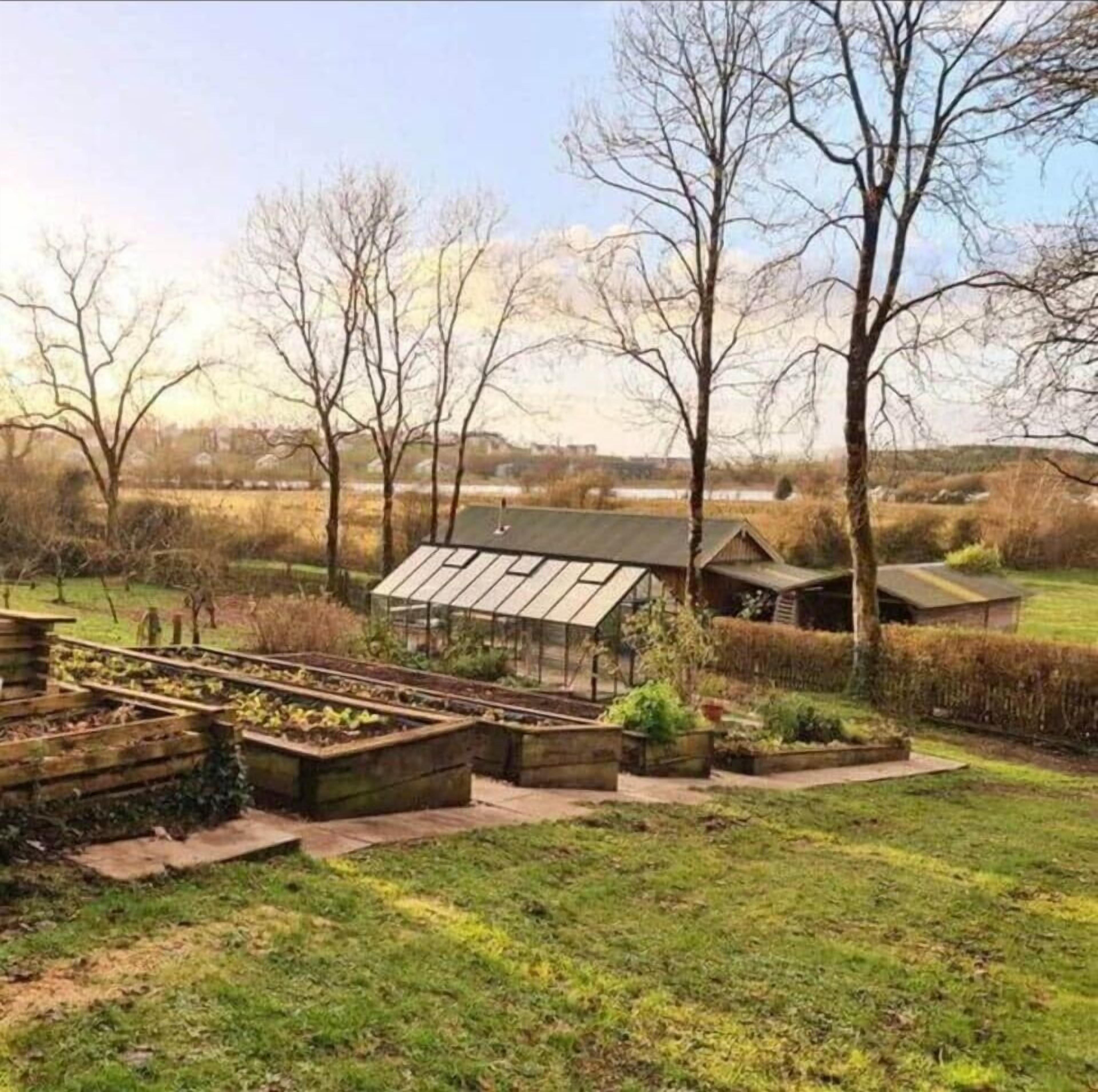 Àrea exterior de l'allotjament