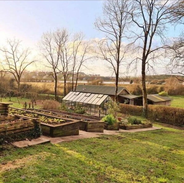 A garden with raised beds, a greenhouse, and a small wooden structure. - Waterside Cabin | Cavan Lakes | Hot Tub (CN)